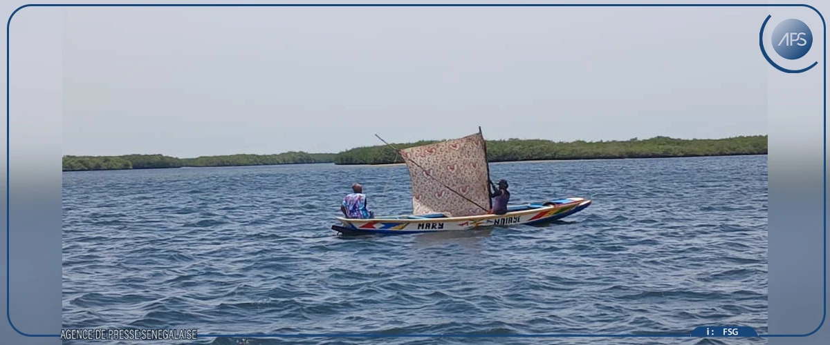 A Falia, la pêche à pied des femmes menacée par la raréfaction des coquillages