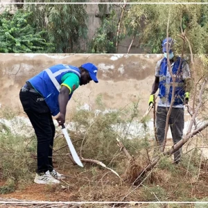 Kaolack : en première ligne, les "soldats du cadre de vie" redonnent de l'éclat aux espaces publics
