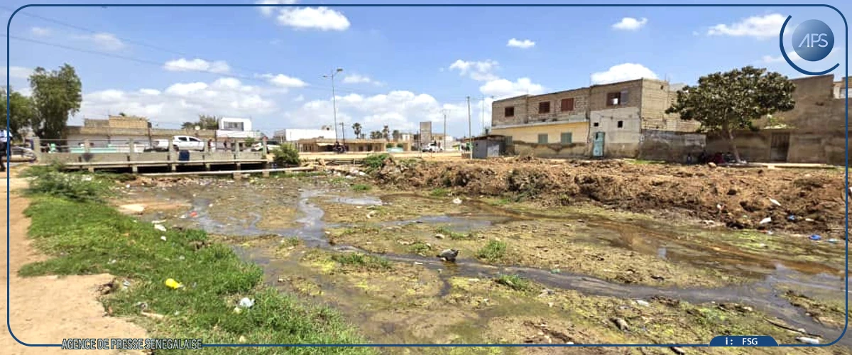 Thiès : l'ONAS instruit de finir les travaux de la station de Mbambara, d'ici fin juillet (ministre)