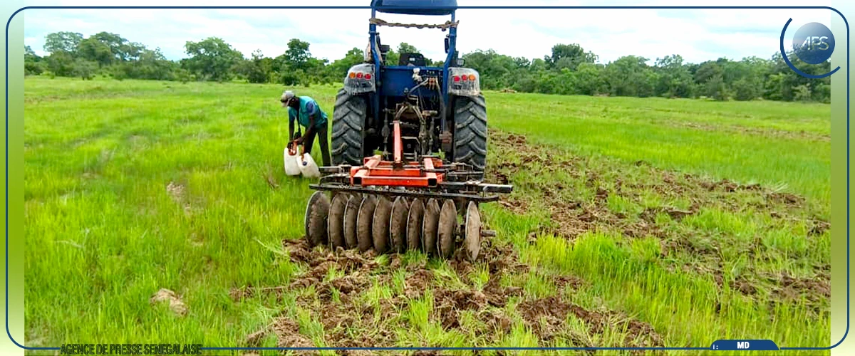Kédougou : la SODAGRI assure préparer activement la campagne de production agricole, malgré ses faibles moyens