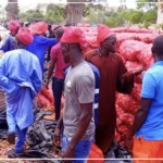 Filière oignon : Ngomène et environs craignent une mévente, après l'ouverture du marché aux gros producteurs