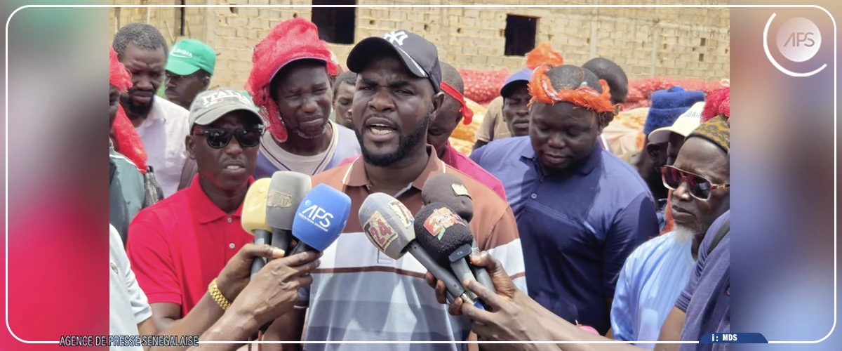 Filière oignon : Ngomène et environs craignent une mévente, après l'ouverture du marché aux gros producteurs
