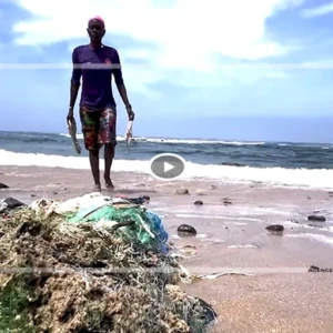 Dakar, entre plage de rêve et eaux contaminées : l’autre visage du littoral