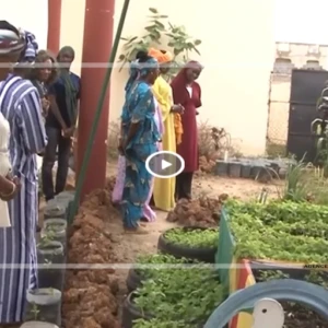 À Thiès, Gnilane Faye Sarr plaide pour des solutions fondées sur la nature afin de renforcer ...