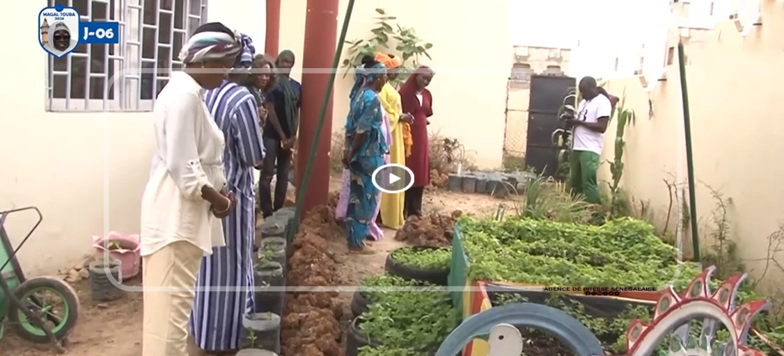 À Thiès, Gnilane Faye Sarr plaide pour des solutions fondées sur la nature afin de renforcer …