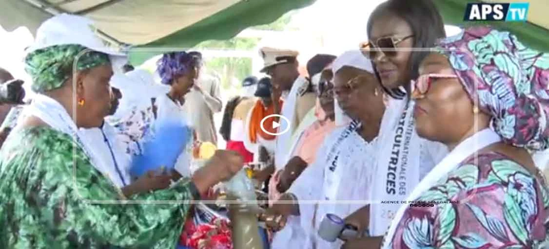 Année internationale des agricultrices : Némabah, au cœur du Delta du Saloum, célèbre l’audace …