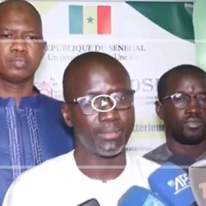 Diaspora: une étude met en lumière des modèles pour renforcer l’engagement des Sénégalais