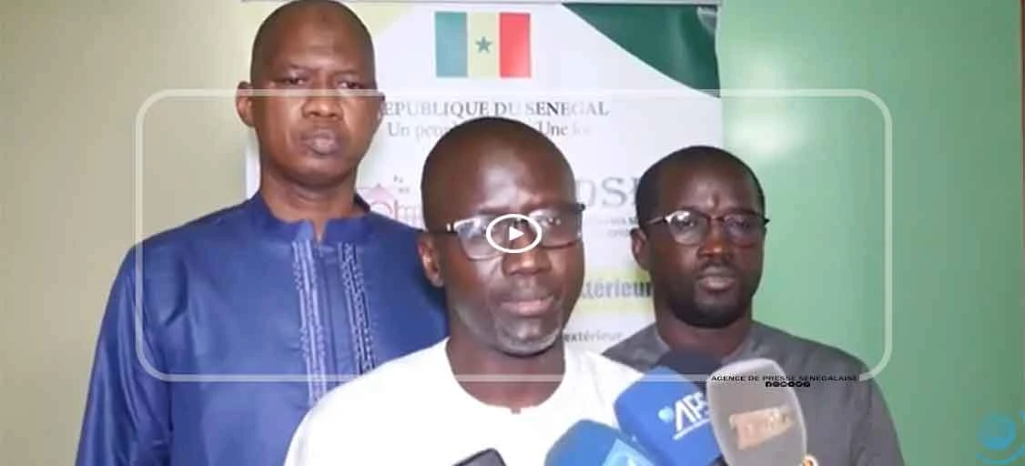 Diaspora: une étude met en lumière des modèles pour renforcer l’engagement des Sénégalais