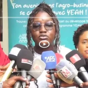 Thiès : Le projet YEAH ambitionne de mobiliser 800 000 jeunes dans l'Agro-entrepreneuriat