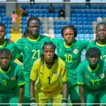 Les Lionnes s'inclinent face à l'Égypte en match amical