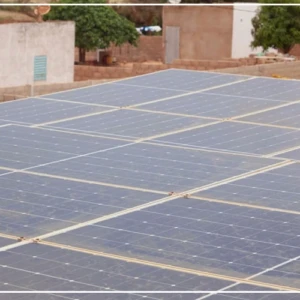 Diogo, pionnier de l'agriculture solaire et durable dans les Niayes