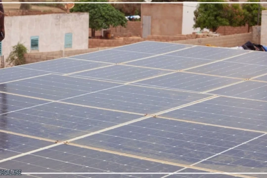 Diogo, pionnier de l'agriculture solaire et durable dans les Niayes