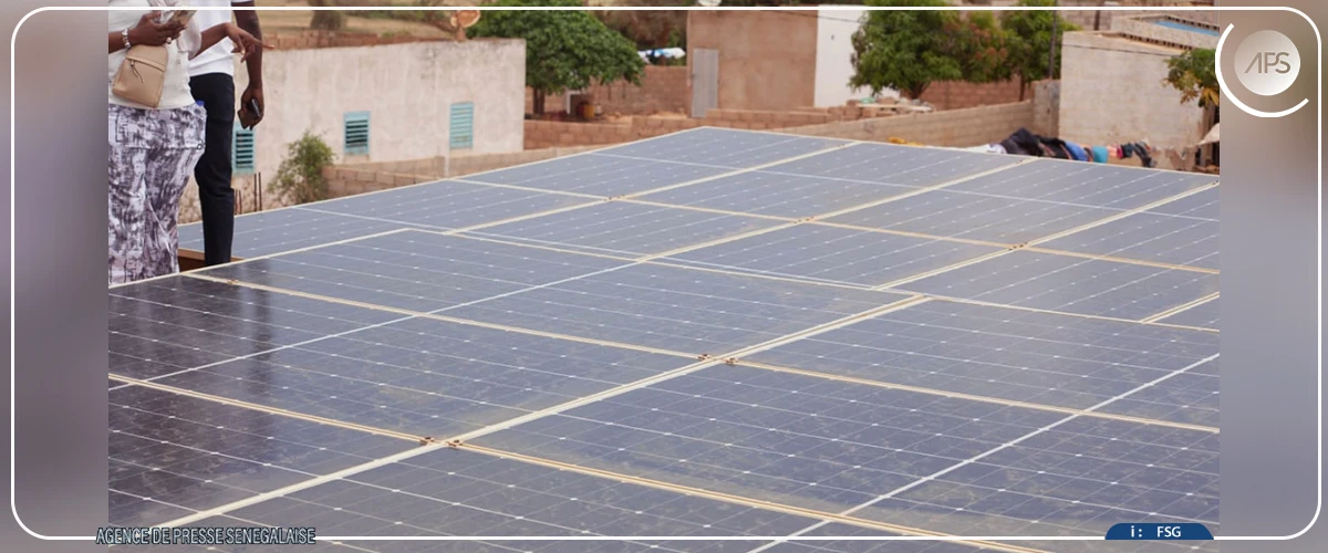 Diogo, pionnier de l’agriculture solaire et durable dans les Niayes