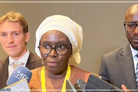 Vers l’élaboration d’une stratégie nationale des minéraux critiques en vue de leur transformation locale