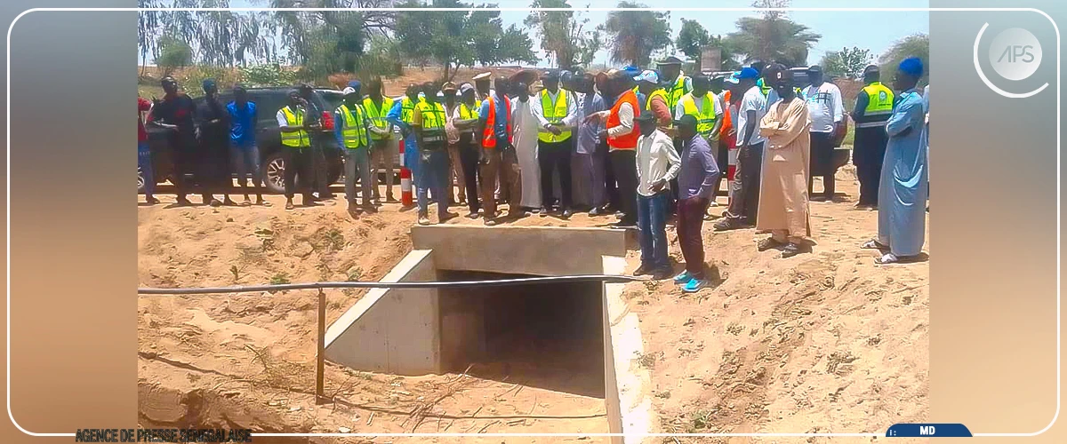 L'Etat satisfait des dispositifs de distribution d'eau et de drainage d'eaux pluviales avant le Grand Magal