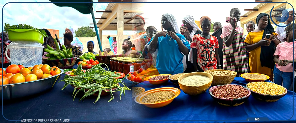 La FAO célèbre, à Toubacouta, l’Année internationale des agricultrices