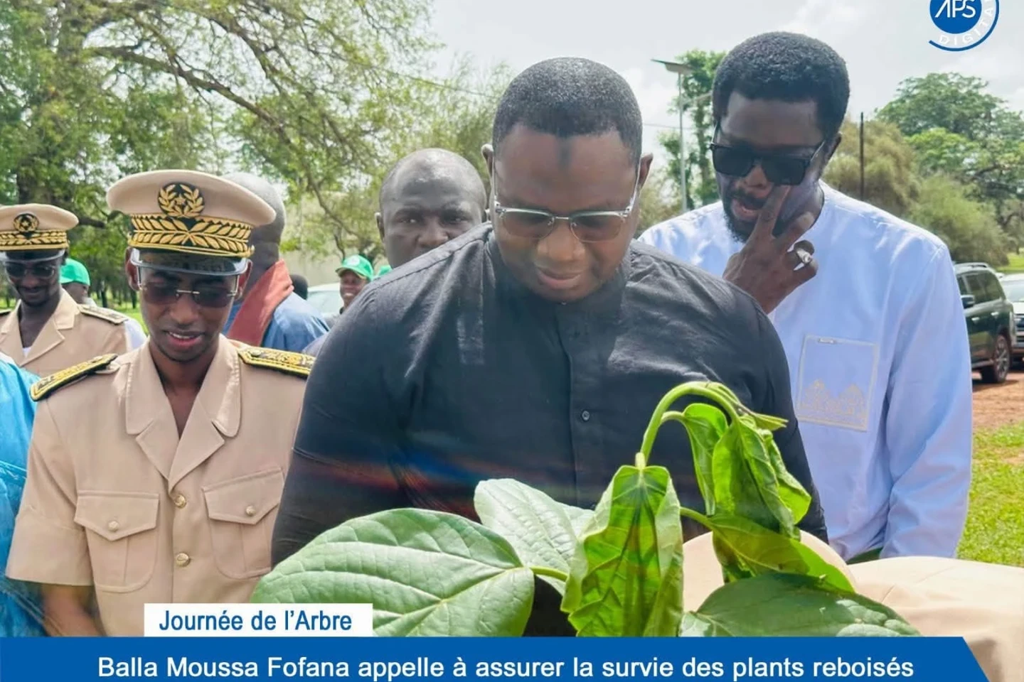 Journée de l’Arbre : Balla Moussa Fofana appelle à assurer la survie des plants reboisés 