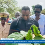 Journée de l'Arbre : Balla Moussa Fofana appelle à assurer la survie des plants reboisés 