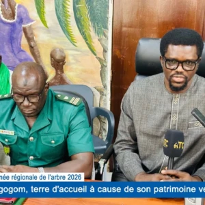Journée régionale de l'arbre 2026 : Ngogom, terre d'accueil à cause de son patrimoine vert