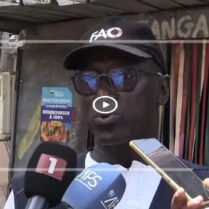 Sécurité sanitaire des aliments : l’AJSPD et la FAO à l’assaut des mauvaises pratiques dans la restauration de rue