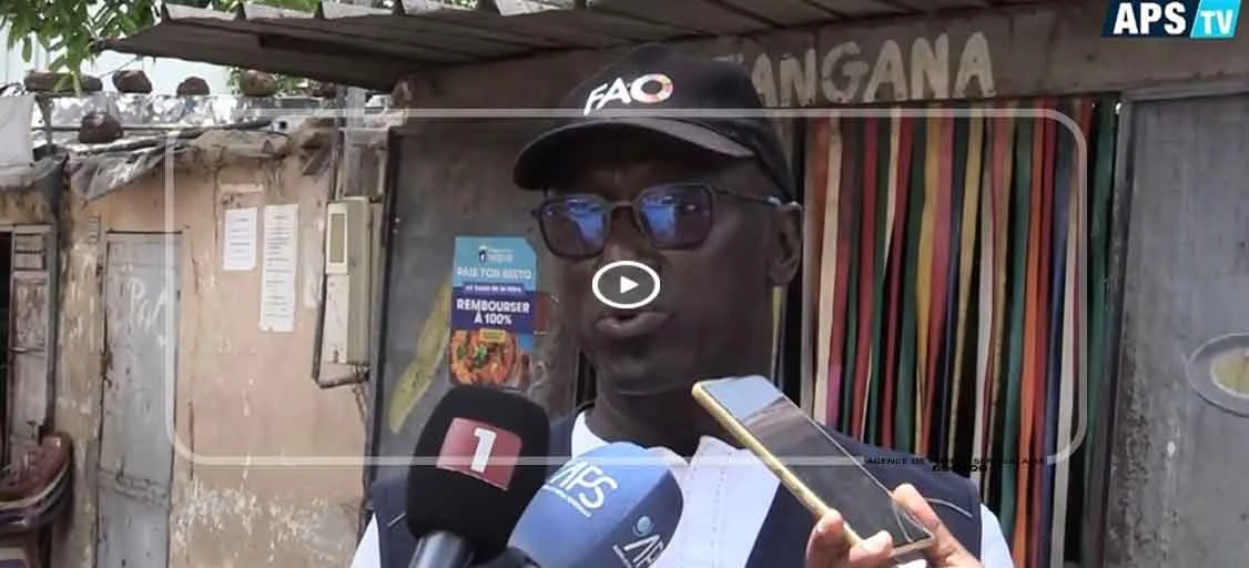 Sécurité sanitaire des aliments : l’AJSPD et la FAO à l’assaut des mauvaises pratiques dans la restauration de rue