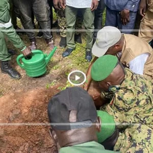 Journée nationale de l’arbre : Diégoune mobilise ses populations pour la reforestation et la protection de l'Environnement