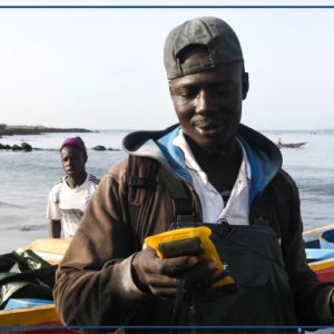 Saint-Louis : une application pour renforcer la surveillance en mer