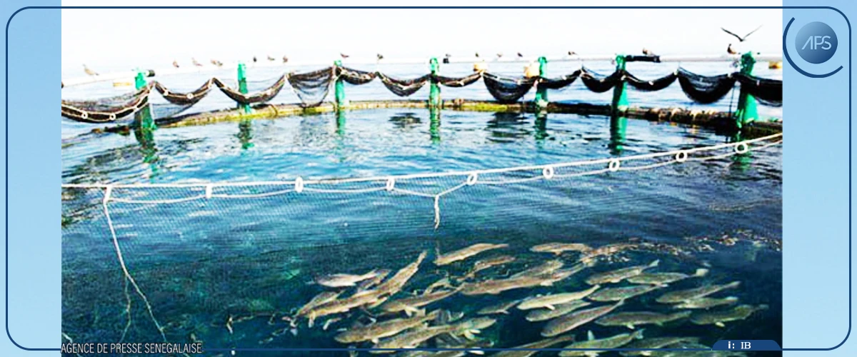 Vers un alignement des stratégies nationales de pêche et d’aquaculture sur les politiques continentales