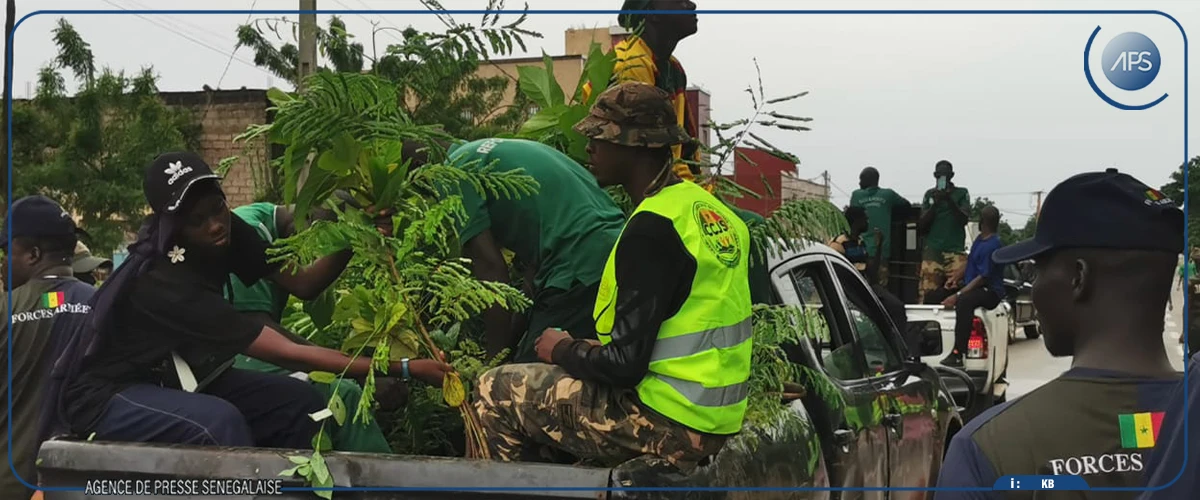 Journée de l'arbre : lancement d'une caravane de distribution de 9 500 plants à Kédougou