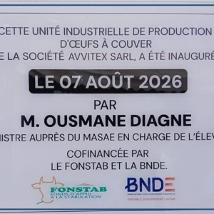 Une usine de production d’œufs à couver inaugurée à Taïba Ndiaye