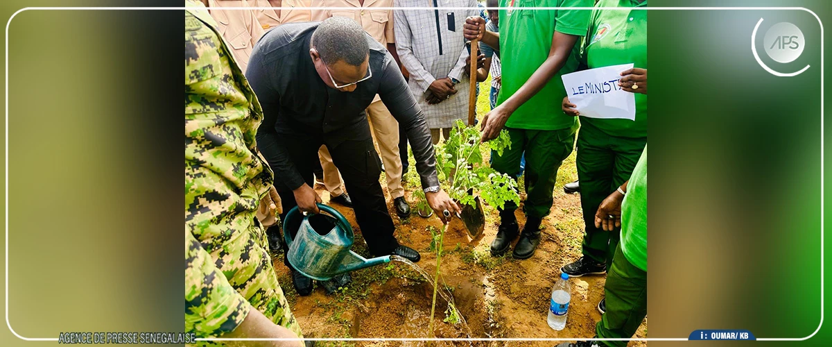 Balla Moussa Fofana appelle à une mobilisation collective pour la survie des arbres plantés