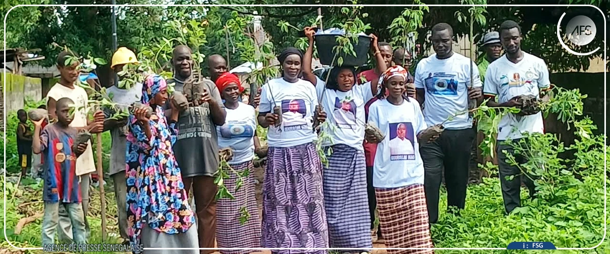 Sédhiou : la cité religieuse Kandialo mobilisée pour la restauration de la forêt