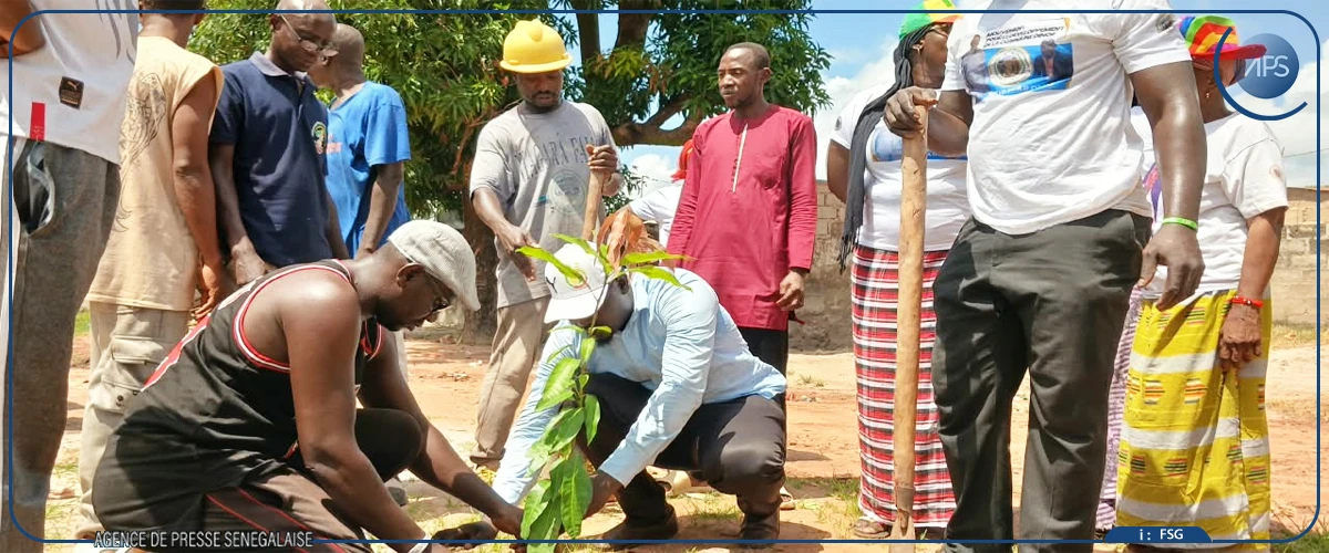 Sédhiou : la cité religieuse Kandialo mobilisée pour la restauration de la forêt