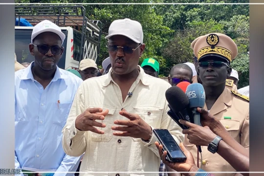 Campagne agricole : un taux de distribution des intrants jugé ''satisfaisant'' à Ziguinchor (ministre)