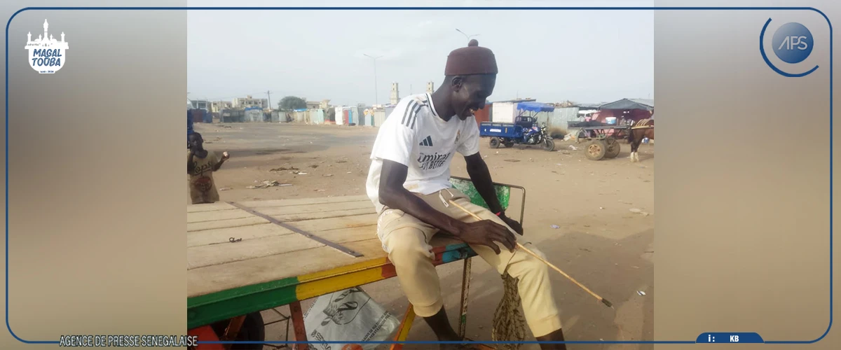 Abdoulaye Faye, cocher le temps du Magal, rêve d’un lendemain meilleur