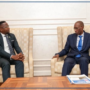 Investissements dans le secteur de l’eau : Cheikh Niang s’est entretenu avec l’ambassadeur de la Namibie au Sénégal