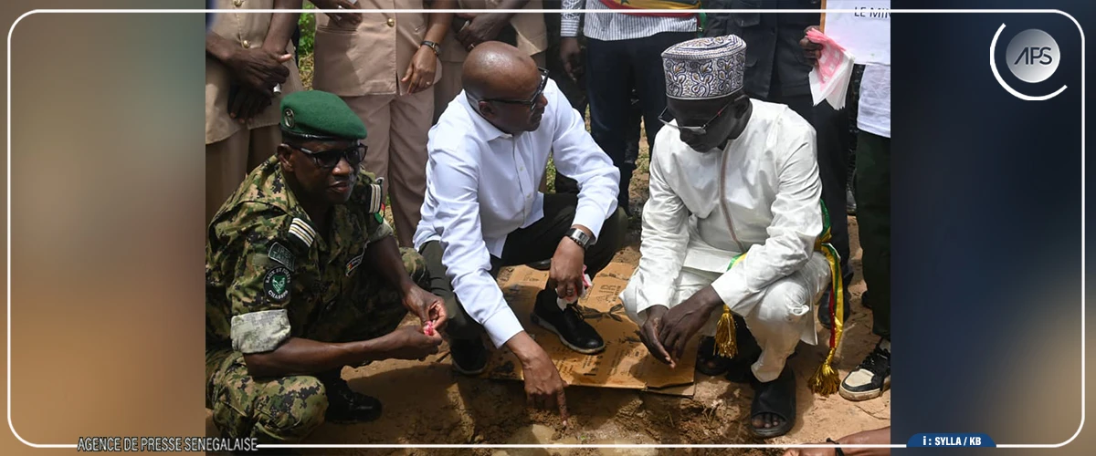 Tambacounda vise à réaliser 100 hectares de plantation conservatoire en 2026 (IREF)