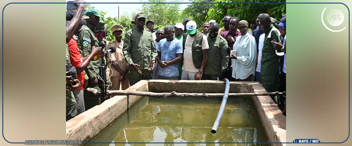 Xëyu Ndaw Yi : Aliou Gori Diouf veut orienter les jeunes recrutés vers l’entrepreneuriat agricole