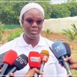 Sédhiou : 16 femmes championnes de l’entrepreneuriat honorées par le projet PAFEJ