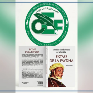 Médina Baye : mise en place d’un collectif des écrivains de la Fayda pour promouvoir la littérature religieuse