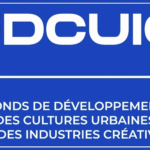 Cultures urbaines et industries créatives : 244 projets sélectionnés pour un financement global de 555 millions de francs CFA