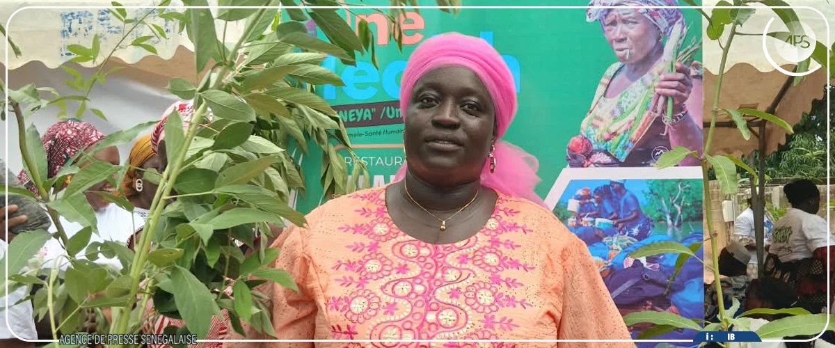 Sédhiou : une association remet des équipements à des groupements de femmes pour renforcer la résilience climatique
