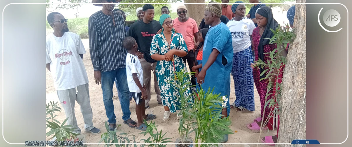 Plantation d’une soixantaine d’arbres à Guembeul et Ngainé pour préserver l’environnement