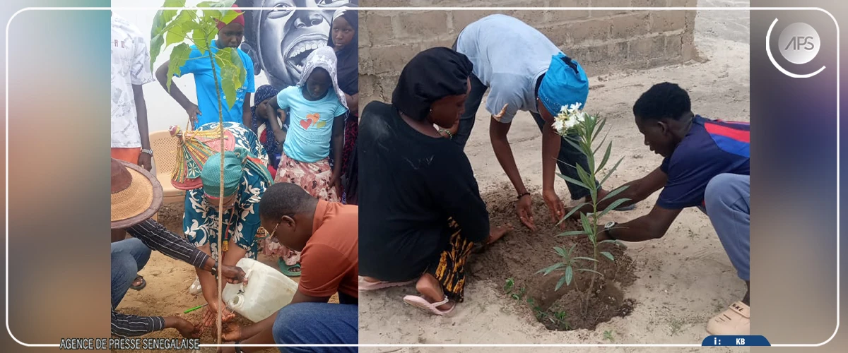 Plantation d'une soixantaine d’arbres à Guembeul et Ngainé pour préserver l'environnement
