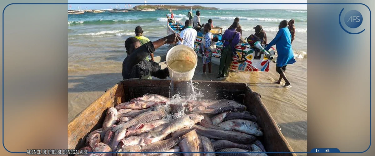 Les acteurs de la pêche invités à privilégier le marché local et la transformation des produits halieutiques