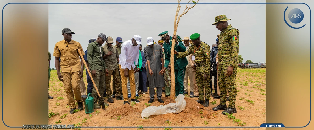 Journée nationale de l’Arbre : le choix de Darou Salam traduit une volonté de renforcer la mobilisation communautaire (Premier ministre)
