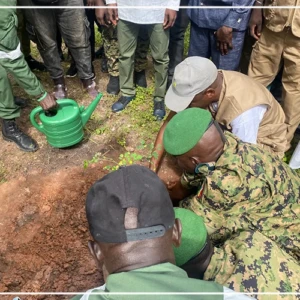 Journée de l'arbre à Ziguinchor : le village de Diègoune choisi pour l'engagement de sa communauté en faveur de l'environnement