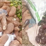 Keur Madiabel : une baisse des stocks de légumes et une flambée des prix au marché hebdomadaire
