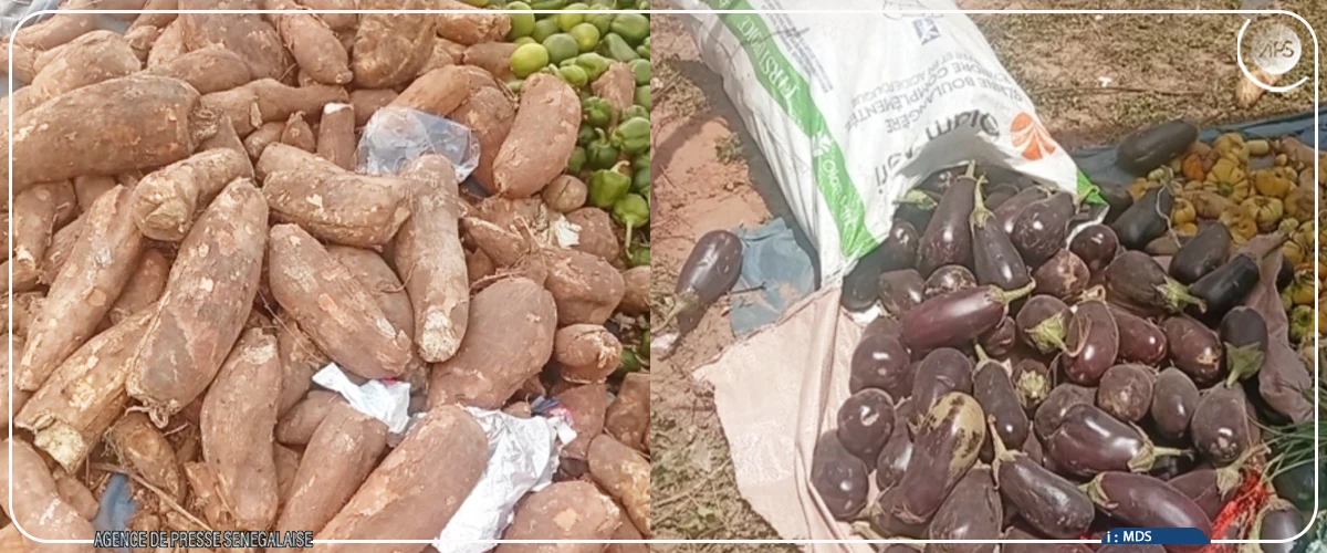 Keur Madiabel : une baisse des stocks de légumes et une flambée des prix au marché hebdomadaire