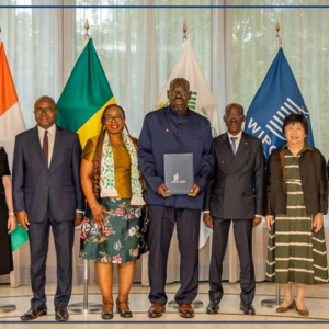 Indication géographique protégée : le madd de Casamance obtient son certificat d'enregistrement international